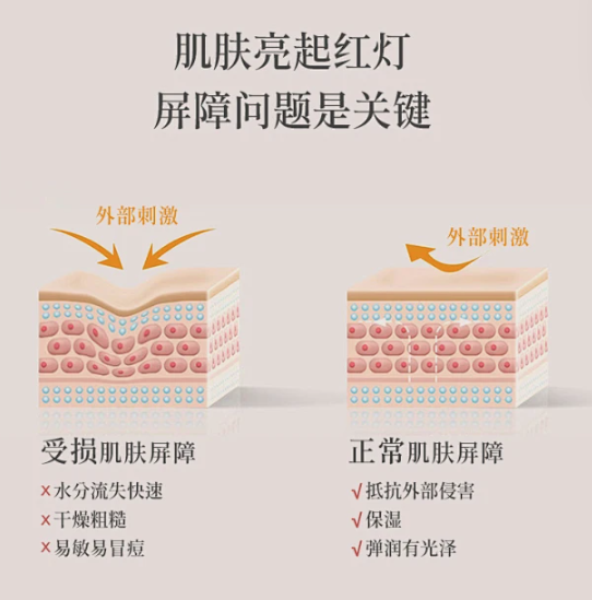 QQ截图20241225102646.png